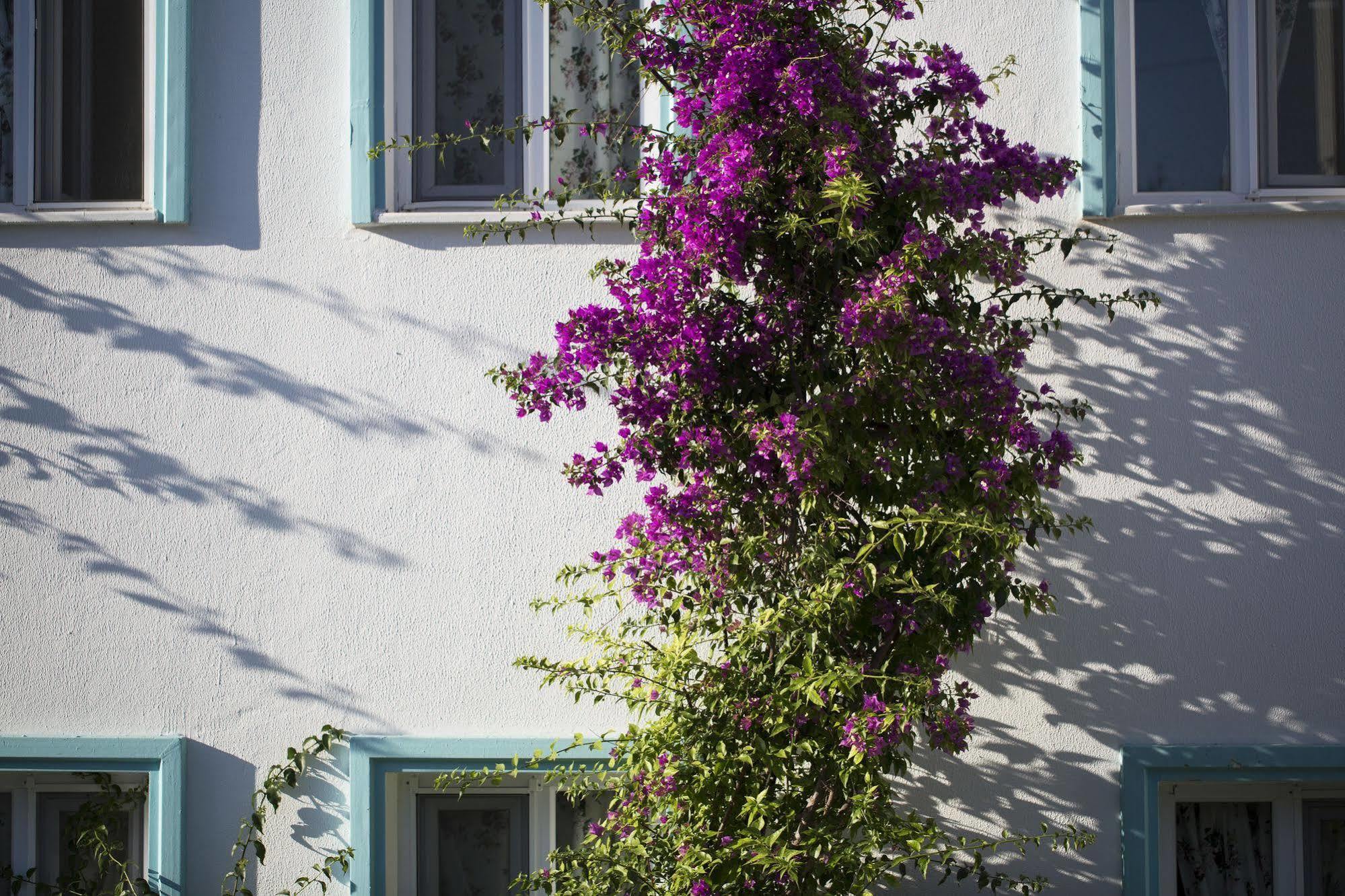 Istanbul Hotel Bodrum Türkbükü Exteriör bild